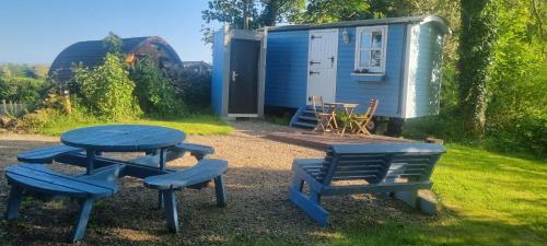 En trädgård utanför Westport Glamping at Doon Angus Farm