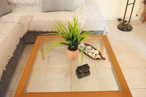 uma mesa de centro com uma planta em vasos numa sala de estar em Meropi Apartment em Preveza