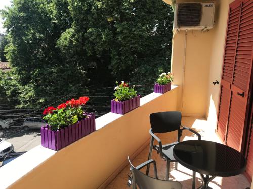 a balcony with three flower boxes with plants on it at Maison Centre in Shkodër