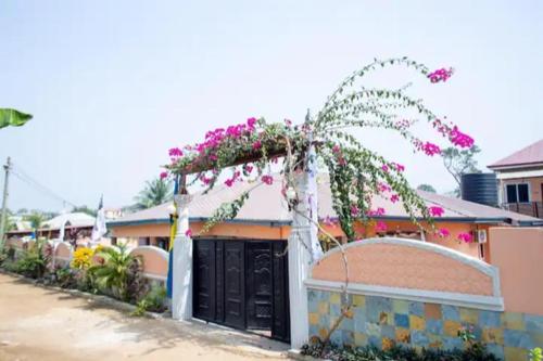 Nana Adu Guest House