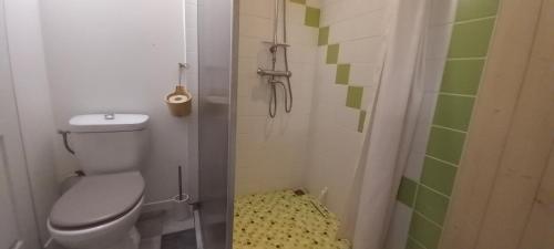 ein kleines Bad mit einem WC und einer Dusche in der Unterkunft Chambre avec terrasse Chez Anne in Rennes