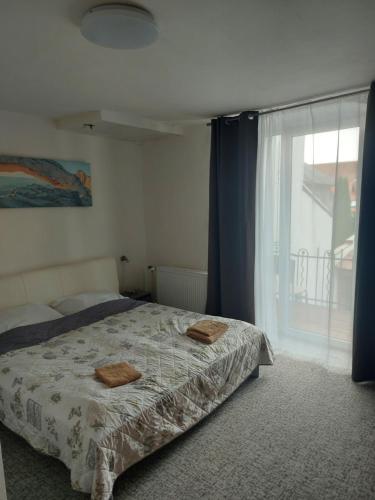 1 dormitorio con cama y ventana grande en Picolo apartmany, en Levoča