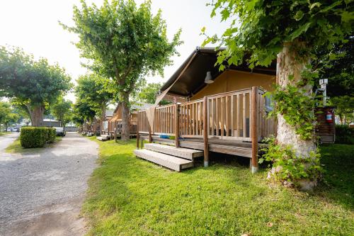 ペスキエーラ・デル・ガルダにあるGlamping Lake Gardaの木の並木