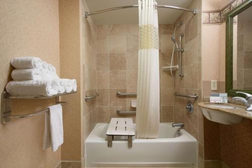 e bagno con doccia, lavandino e vasca. di Hampton Inn Canon City a Canon City