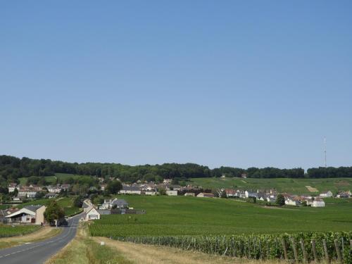 Natuurlandschap vlak bij het appartement