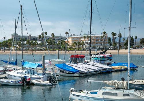 a group of boats docked in the water near a beach at Jamaica Bay Inn Marina Del Rey Tapestry Collection by Hilton in Los Angeles