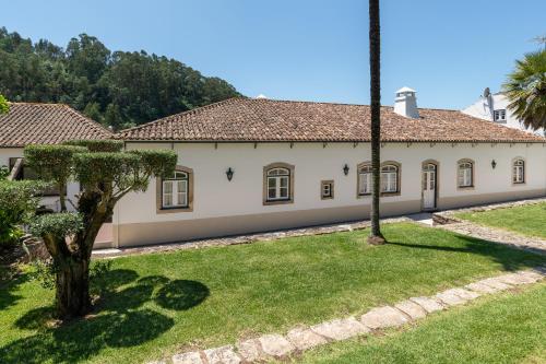 uma casa velha com uma palmeira no quintal em Quinta do Calvário 