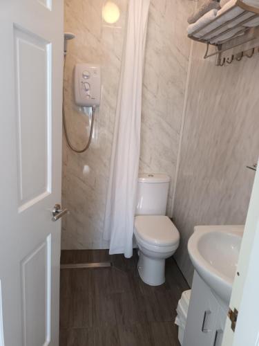 een kleine badkamer met een toilet en een wastafel bij Kates Place Studio 1 in Donegal