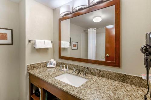 Comfort Inn & Suites Christiansburg I-81衛浴