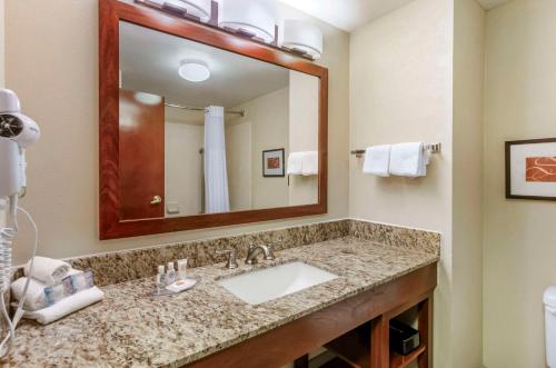 Comfort Inn & Suites Christiansburg I-81衛浴