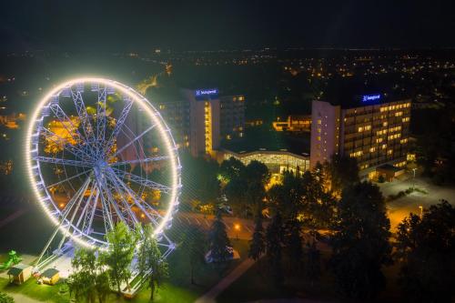 Una noria en una ciudad por la noche en Hunguest Hotel Gyula, en Gyula