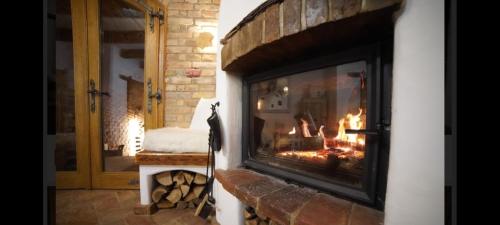 a fireplace in a living room with a fire in it at Koňsky ap in Pouzdřany