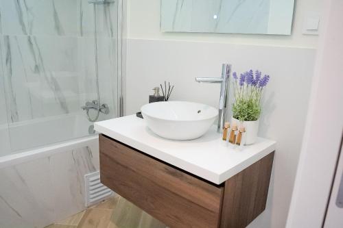 La salle de bains est pourvue d'un lavabo sur un comptoir. dans l'établissement Guest House Jacarandá Faro, à Faro