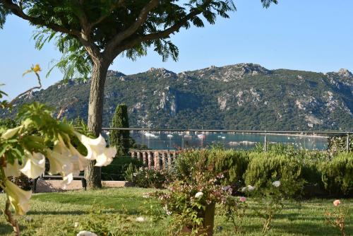 um jardim com vista para uma montanha em Hôtel Alivi Di Santa Giulia em Porto-Vecchio