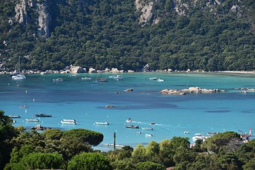 um grupo de barcos em um corpo de água com árvores em Hôtel Alivi Di Santa Giulia em Porto-Vecchio