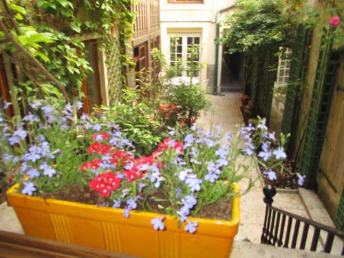 Un jardín fuera de Chambres d'hôtes Le Patio d'Alain et Véronique Lunéville