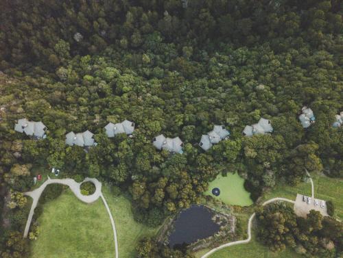 uma vista superior de uma floresta com um lago em Tsala Treetop Lodge em Plettenberg Bay