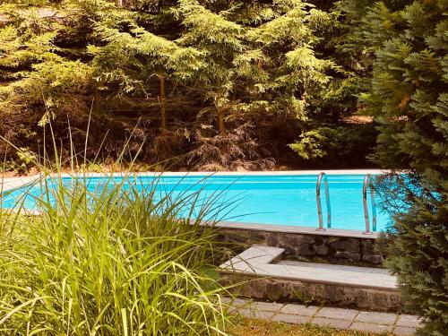 une piscine bleue avec des arbres en arrière-plan dans l'établissement Komáří Louka, à Nová Olešná