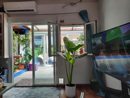 een woonkamer met een tv en een plant bij Loft con jardin in Madrid