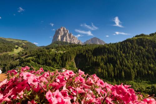 Ein Haufen rosa Blumen vor einem Berg in der Unterkunft Hotel Ciamp in St. Christina in Gröden