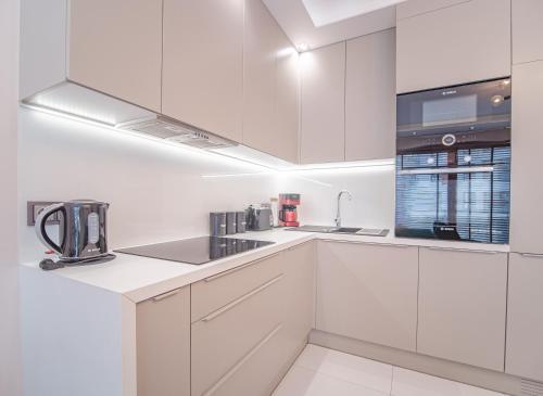 Kuchyň nebo kuchyňský kout v ubytování Szmaragdowy Spichlerz Apartament