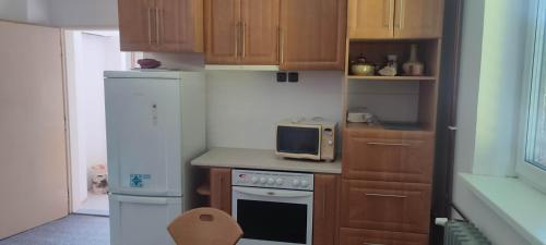 Una cocina o cocineta en Apartmán Radim