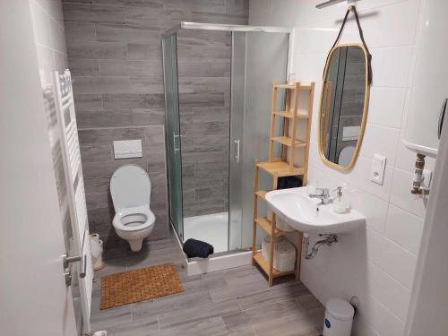 een badkamer met een toilet, een wastafel en een douche bij Apartmán Bešeň 304 in Bešeňová