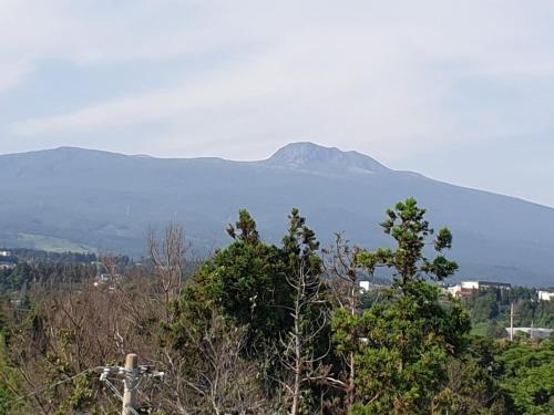 una montaña en la distancia con árboles en el primer plano en Jeju Soroan Pension, en Seogwipo