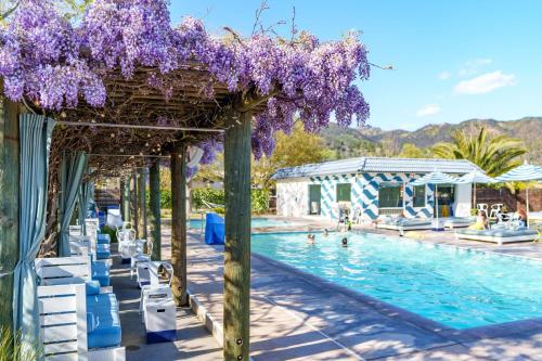 una piscina con glicinas púrpuras colgando de una pérgola en Calistoga Motor Lodge and Spa, a JdV by Hyatt Hotel, en Calistoga