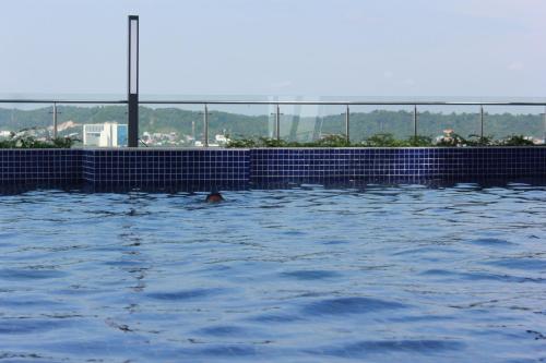 Kolam renang di atau dekat dengan Galeno Pollux Habibie