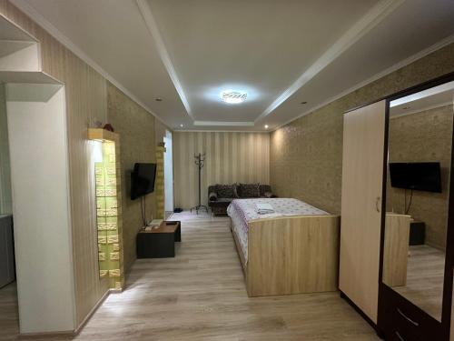 (( Turksib ))One-room apartment opposite Almaty Airport的一间卧室配有一张床和一台电视。