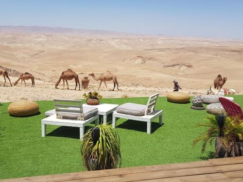 una mesa y dos sillas en un campo con camellos en el desierto en Sun, Mountain & Adventure, en Arad