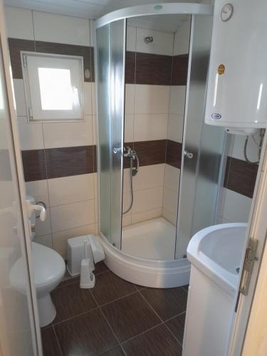 een badkamer met een douche en een toilet bij Vila Veronika in Ohrid