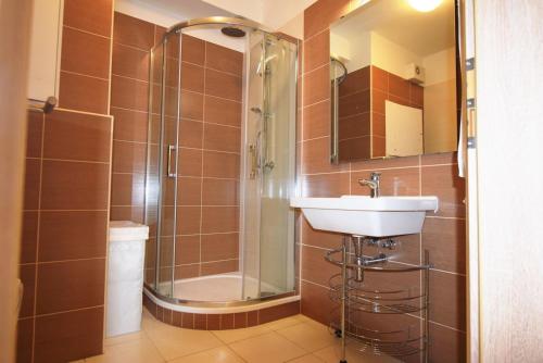 a bathroom with a shower and a sink at Apartman Bystrc in Brno