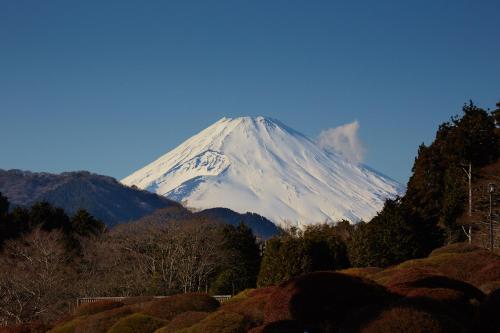 箱根町にある小田急山のホテルの森の中の雪山