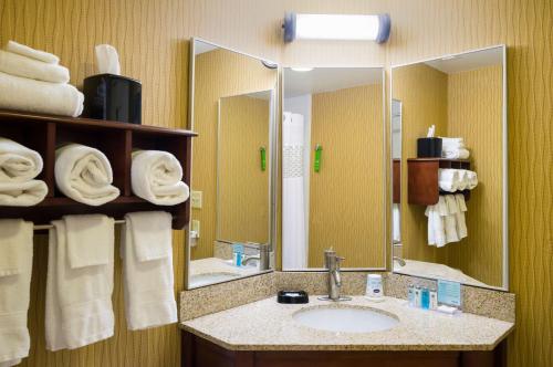 Hampton Inn Selinsgrove/Shamokin Dam 욕실