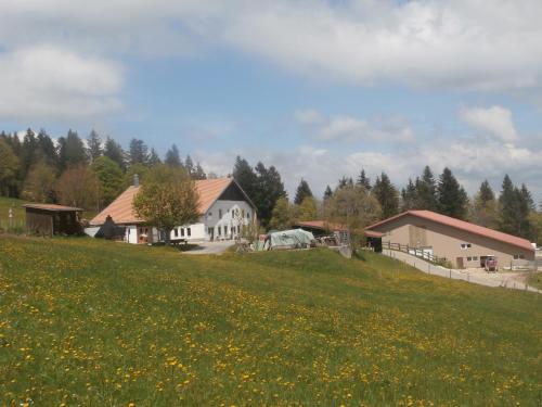 Peisaj natural din apropierea acestui B&B