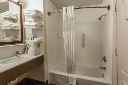 Hampton Inn Colorado Springs-Airport 욕실