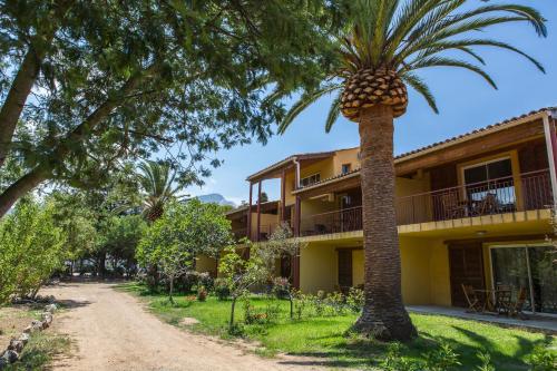 un palmier devant un bâtiment dans l'établissement Casa Vecchia rooms + apartments, à Calvi