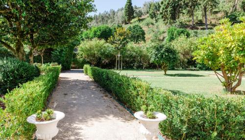 einen Pfad in einem Garten mit zwei weißen Vasen in der Unterkunft Torres da Vila in Anadia