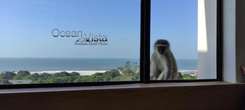 een aap in een raam met uitzicht op de oceaan bij Ocean Vista Boutique Guest House in Durban