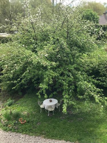 una mesa y dos sillas bajo un árbol en Appart dans longère Normande au coeur de la Forêt de Lyons, 