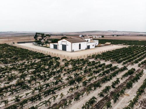 - une vue aérienne sur un bâtiment blanc dans un vignoble dans l'établissement LA BENDITA LOCURA, à El Puerto de Santa María