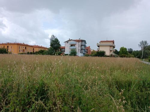 een veld van hoog gras met gebouwen op de achtergrond bij Casa degli Aromi in Lucca