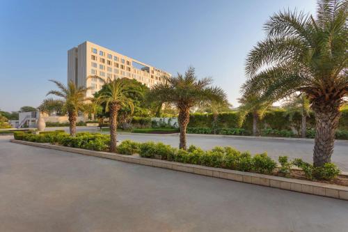 a row of palm trees in front of a building at DoubleTree By Hilton Jaipur Amer in Jaipur