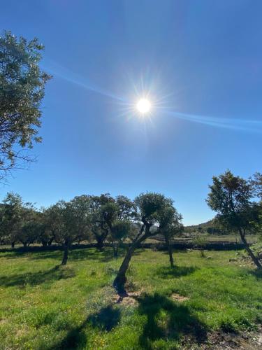 um campo com árvores e o sol no céu em Casa La Rocita em Badajós