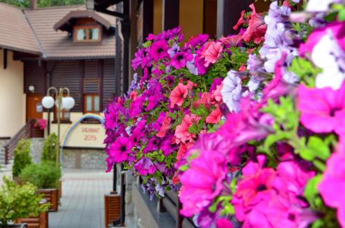 Jardí fora de Hotel Zlatiborska Noc