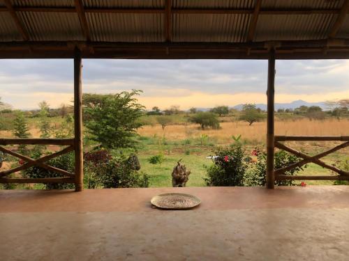 Vrt pred nastanitvijo Jua Manyara Lodge & Camp Site