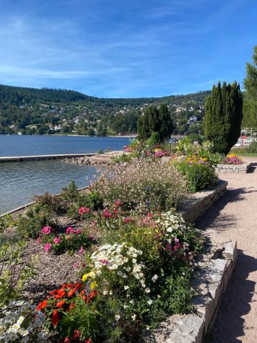 a garden of flowers next to a body of water at Charmant chalet, spacieux, proche du lac, vue sur la montagne in Gérardmer