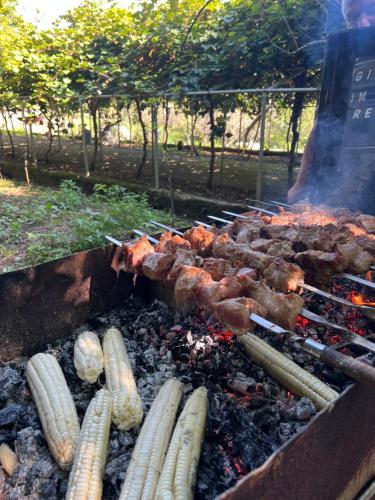 Equipamiento para hacer parrilladas disponible en la pensión